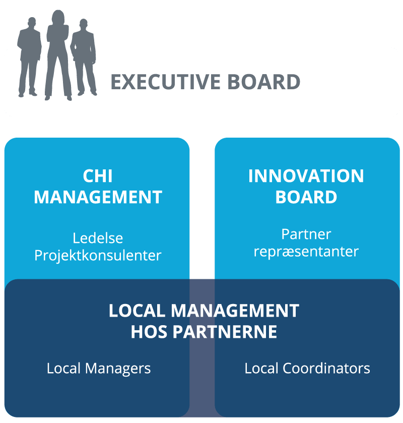 CHI-organisationsdiagram
