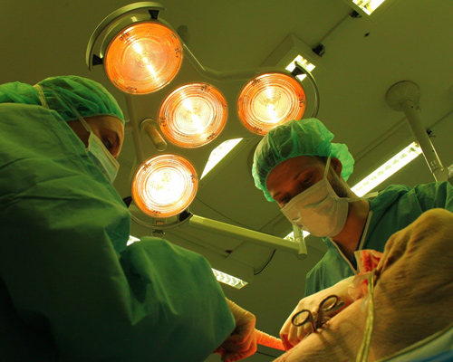 CAMES masterclass pig surgery
