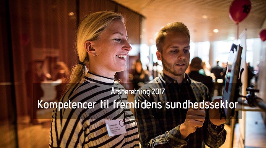 Årsberetning 2017