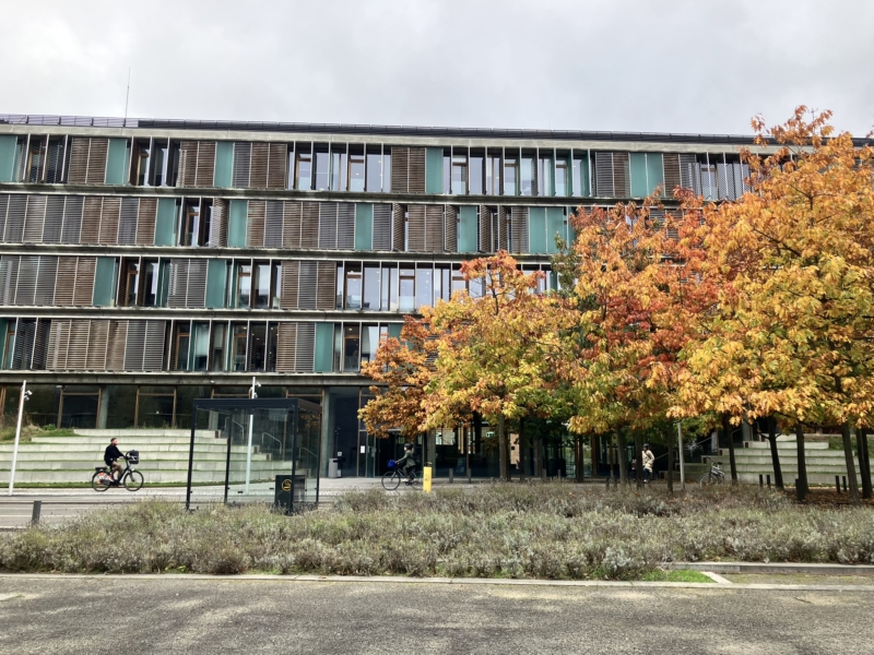 “Studerende fra CBS har en meget analytisk tilgang til cases”